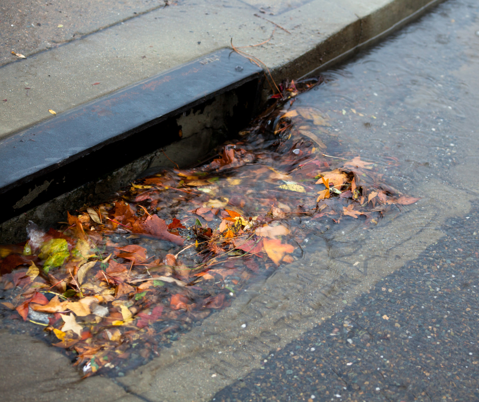 Image of Adopt a Storm Drain Program Needs Volunteers